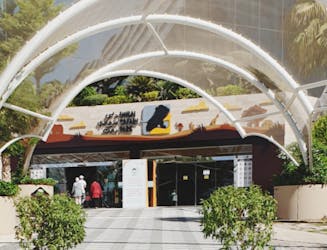 Bilhete de entrada no Dubai Safari Park mais com transferência